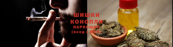 крисы Нефтегорск