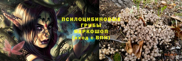 МДПВ Нея