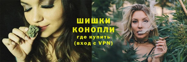МДПВ Нея