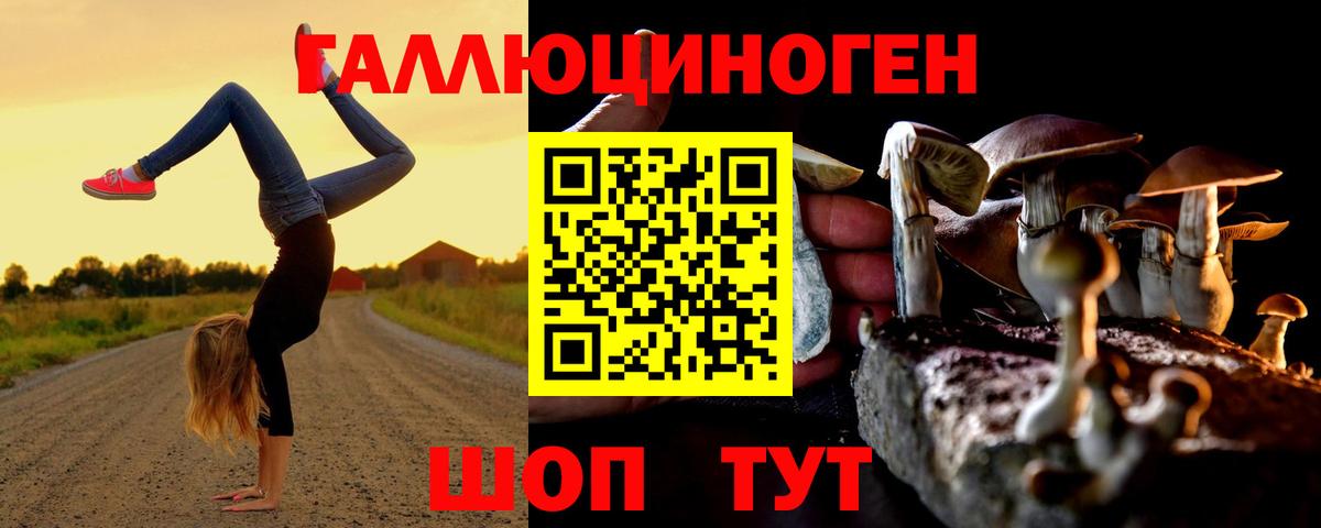 Галлюциногенные грибы Magic Shrooms  Вход с VPN  Нефтекумск 