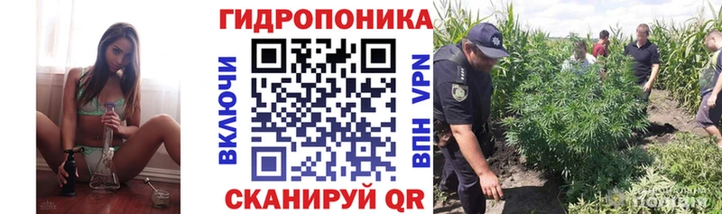 Бошки марихуана VHQ Нефтекумск